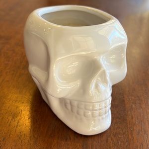 Skull Planter White Mini Halloween Decor Ceramic Decoration